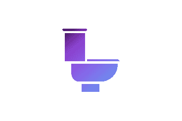 Toilet Repair